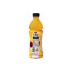 DEL MONTE PET LEMON APPLE GINGER 1L