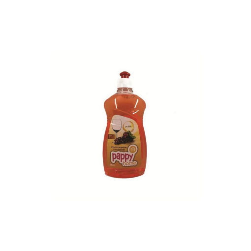 PAPPY HOME WASH UP LIQUID  ΞΥΔΙ 500ml