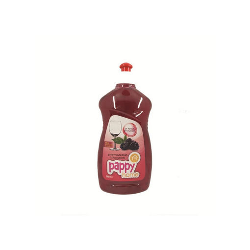 PAPPY HOME WASH UP LIQUID BBERRY 500ml