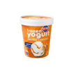 FROZEN YOGURT CUP SALTED 500g