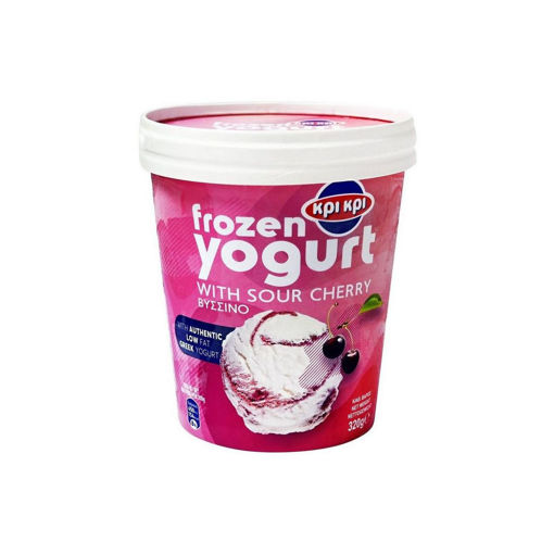 FROZEN YOGURT CUP ΒΥΣΣΙΝΟ 500g