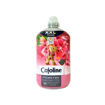 CAJOLINE ΣΥΜΠ. RED FRUITS 80M 1840ml