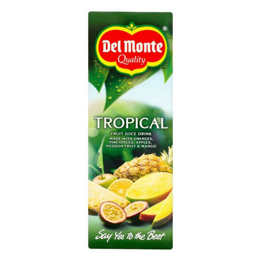 DEL MONTE TROPICAL 1L