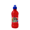 ROB SHOOT SUMMER FRUIT 24X330ML