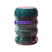 MENTOS WINTERGREEN BTL (BIG)