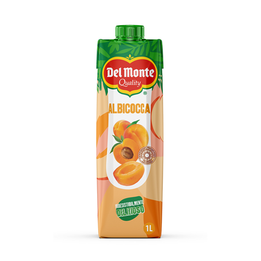 DEL MONTE APRICOT NECTAR 1L
