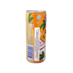 ABSOLUT PASSION MARTINI 5% 250ml
