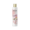 PANTENE SHAMPOO ROSE WATER LIFT&VOLUME 250ml